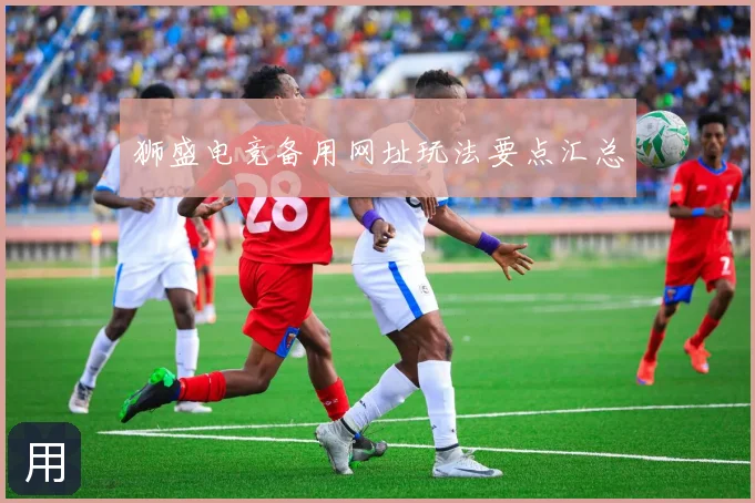 狮盛电竞备用网址玩法要点汇总